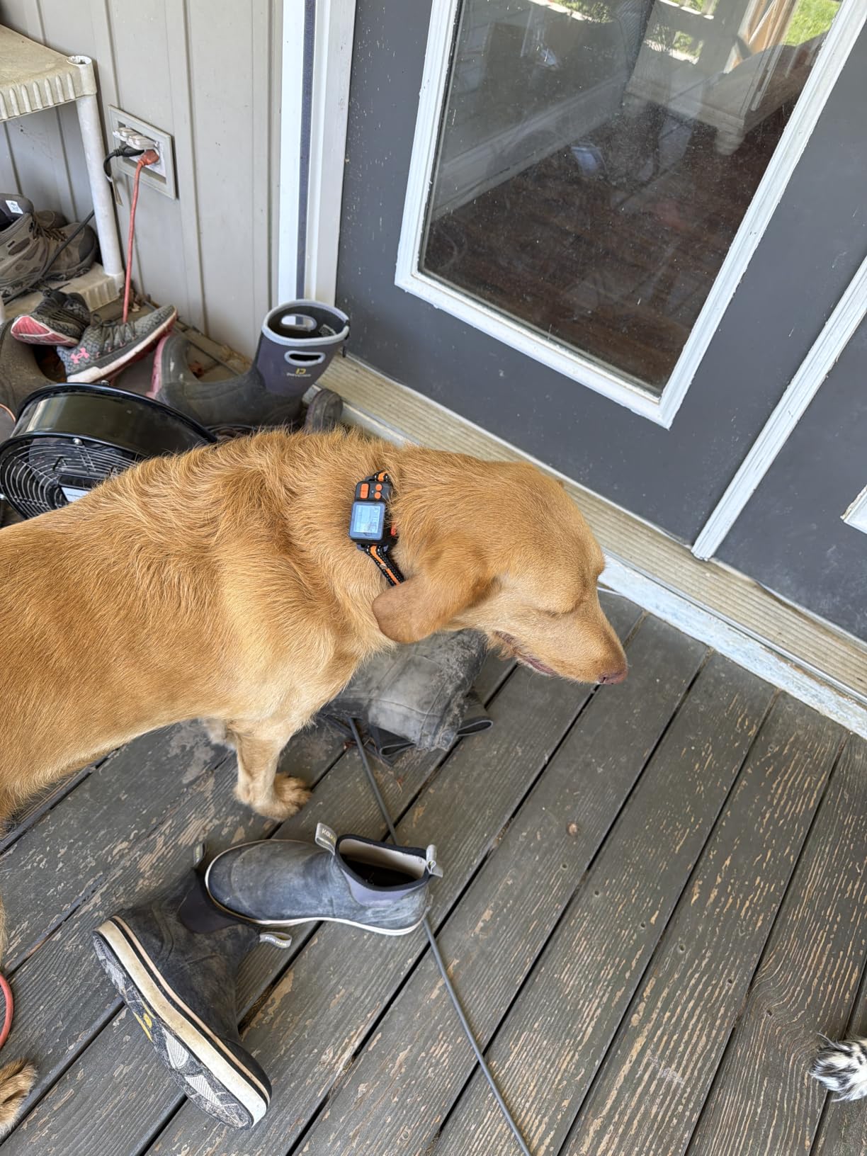 GPS Wireless Dog Fence System, Electric Dog Fence Using GPS Electric Satellite Technology, IPX7 Waterproof Rechargeable Design, GPS Dog Collar Has 2 Modes Circular and Free-Form Fence customer photo 2
