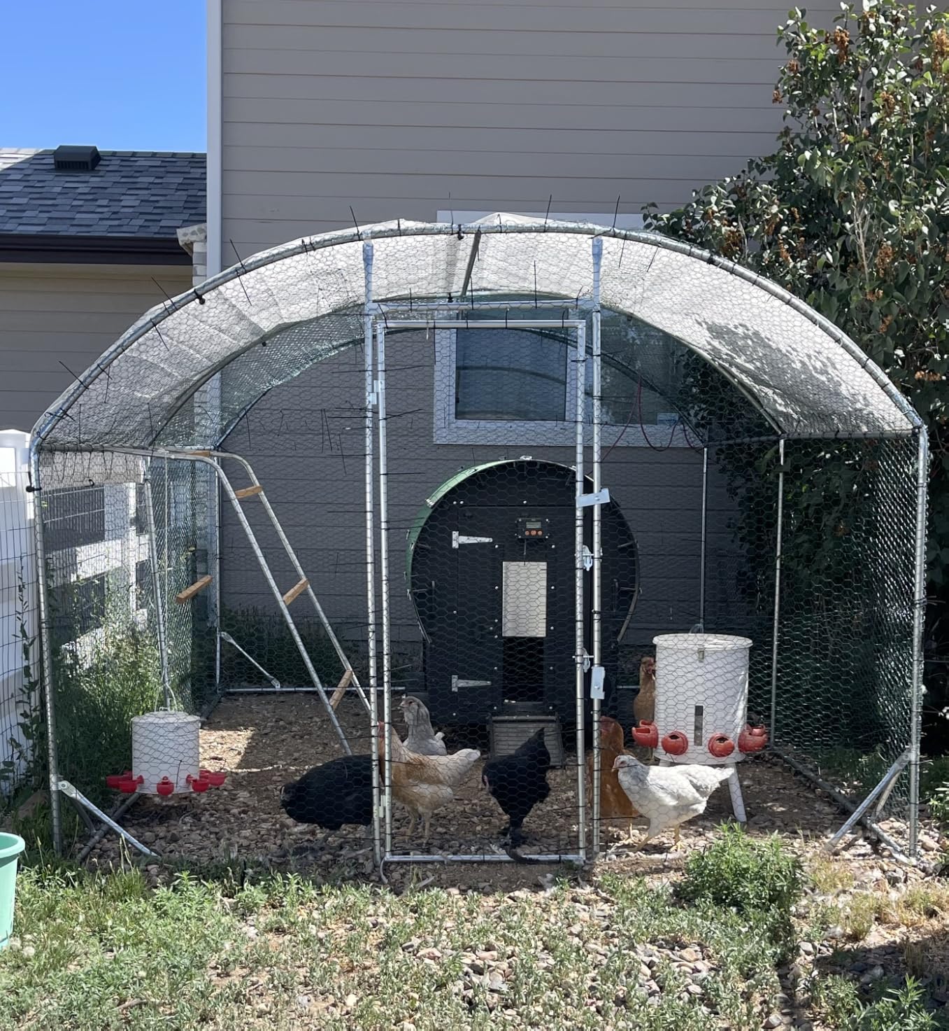 Quictent Essential Series 12x9x6.6ft Metal Chicken Coop Run with Climbing Ladder, Walk-in Outdoor Poultry Cage with PVC Coated Chicken Wire, Hen Duck Rabbit Farm House, Waterproof Anti-UV Cover customer photo 1