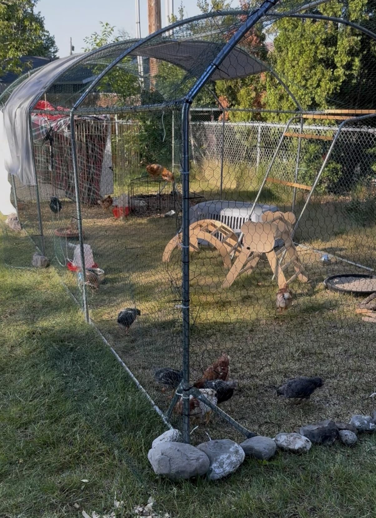 Quictent Essential Series 12x9x6.6ft Metal Chicken Coop Run with Climbing Ladder, Walk-in Outdoor Poultry Cage with PVC Coated Chicken Wire, Hen Duck Rabbit Farm House, Waterproof Anti-UV Cover customer photo 2