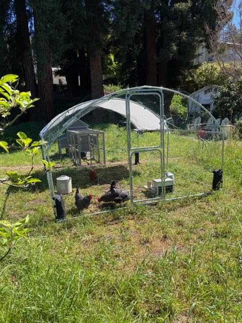 103'' Large Chicken Coop with Run, Wooden Chicken House with Two Large Nesting Box and Leakproof Tray, Outdoor Hen House Poultry Cage for 4-6 Chickens, Waterproof Roof customer photo 1