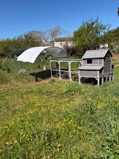 103'' Large Chicken Coop with Run, Wooden Chicken House with Two Large Nesting Box and Leakproof Tray, Outdoor Hen House Poultry Cage for 4-6 Chickens, Waterproof Roof customer photo 2