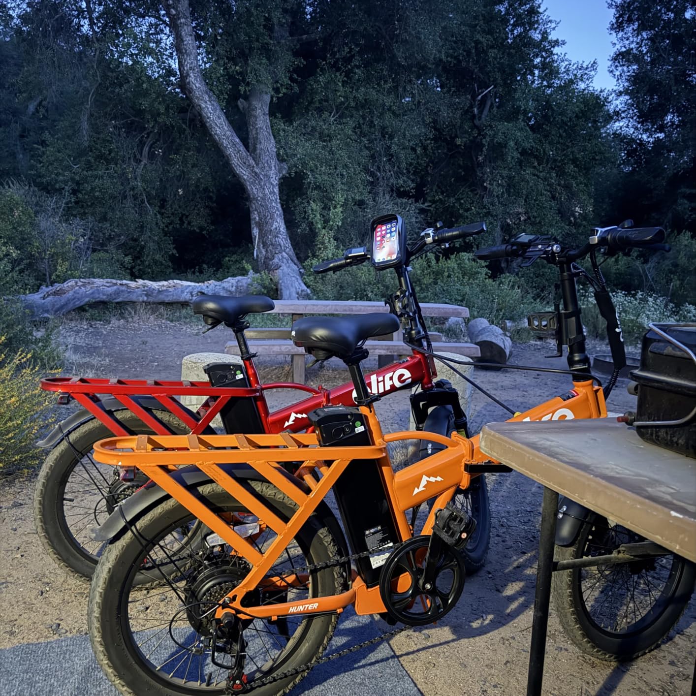 Qlife Hunter Foldable Electric Bike for Adults, Peak 1200W Ebike with 48V 13.5Ah Battery, 65-Mile Range, Heavy-Duty Rear Rack, 20-Inch Fat Tires, Folding E Bike for Commuting & Outdoor Use customer photo 1