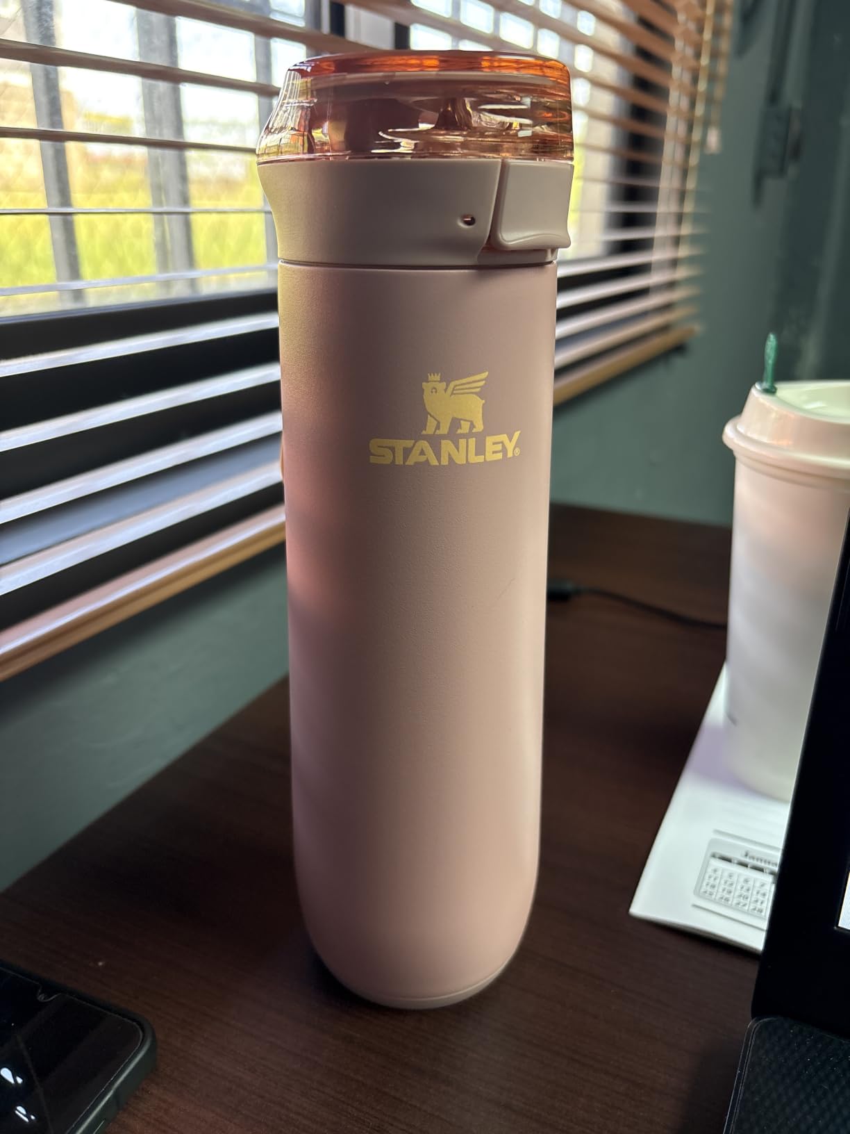 STANLEY Flowstate Spring Bottle | Leakproof Water Bottle with Carry Strap & Flip-Top Locking Lid | Insulated Stainless Steel | Fits Most Cup Holders | BPA-Free | 20 oz | Ash customer photo 1
