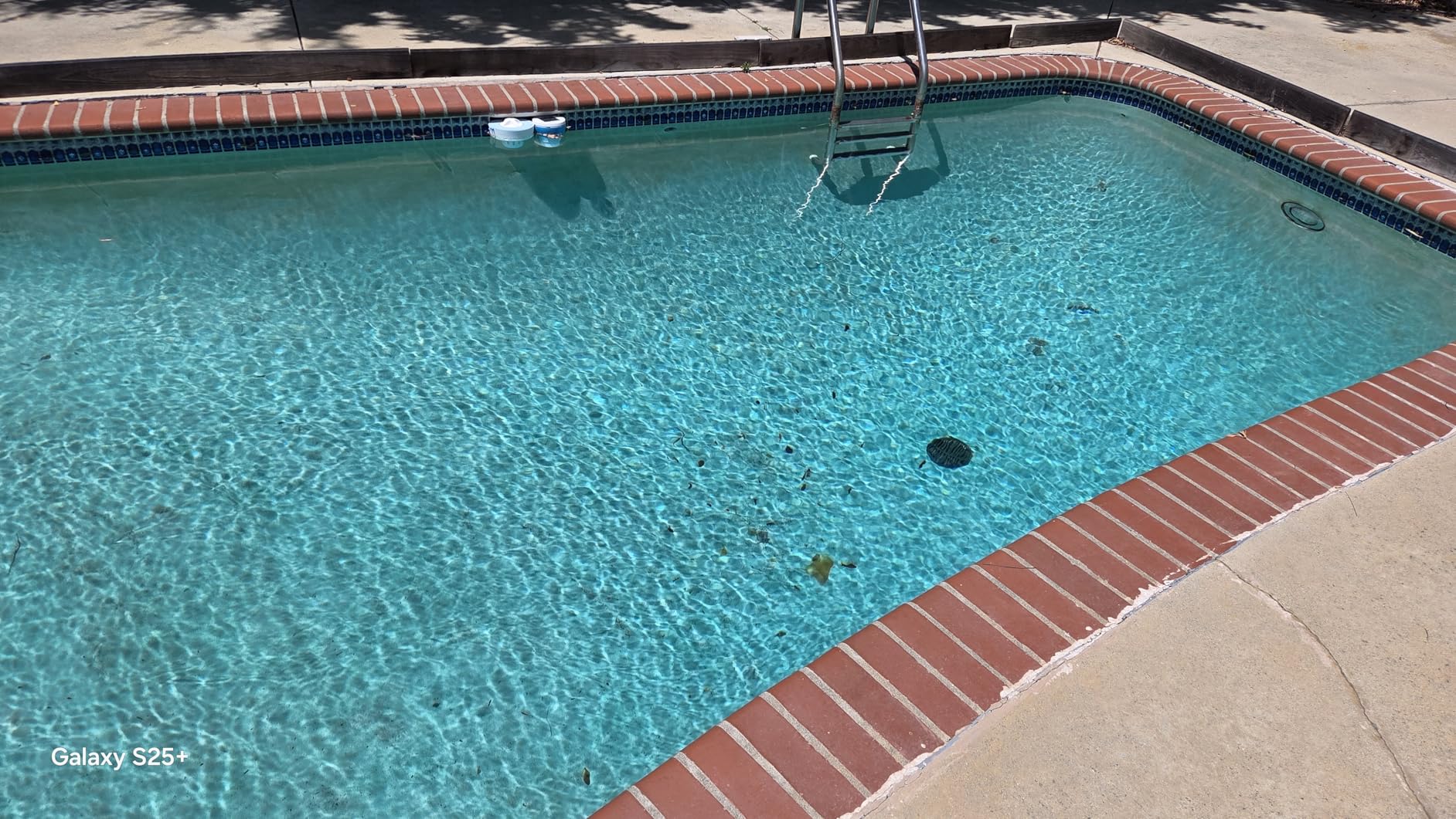 WYBOT C2 Cordless Robotic Pool Cleaner, Dual Filtrations, Floor, Wall & Waterline Cleaning, App Scheduling, Smart Navigation, Pool Vacuum for Inground Pools customer photo 2