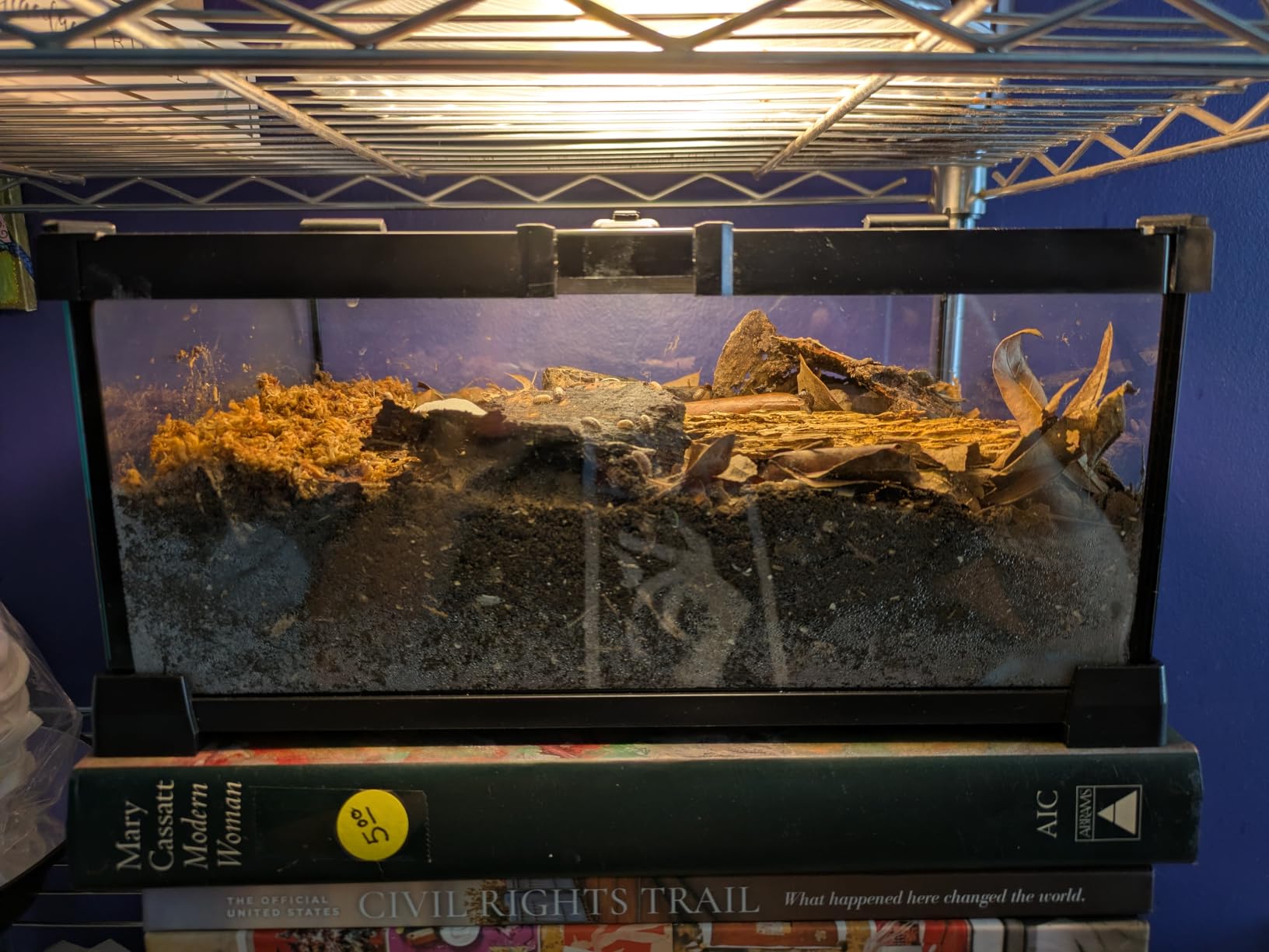 2.5 Gallon Fully Assembled Glass Reptile Enclosure, 12