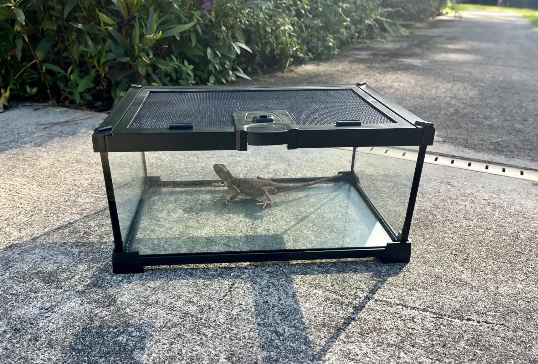 2.5 Gallon Fully Assembled Glass Reptile Enclosure, 12