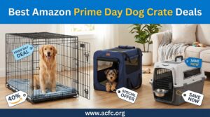 Best Amazon Prime Day Dog Crate Deals