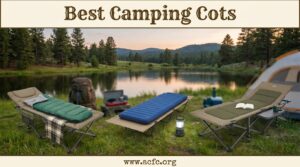 Best Camping Cots