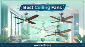 Best Ceiling Fans