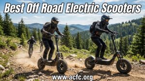 Best Off Road Electric Scooters