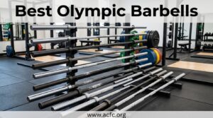 Best Olympic Barbells