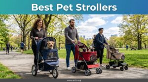 Best Pet Strollers