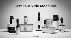 Best Sous Vide Machines