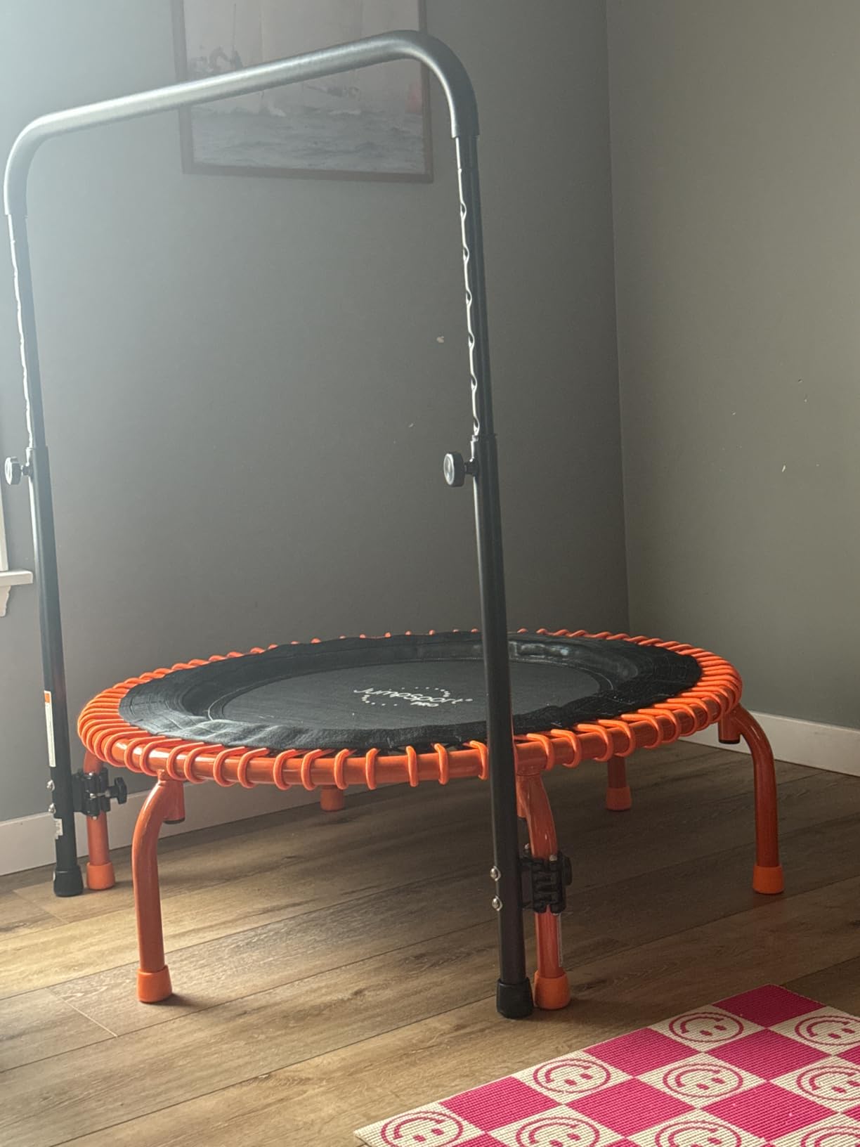 JumpSport 350 PRO 39 Inch Fitness Trampoline Indoor Rebounder Cardio Workout Equipment, 300 lb Capacity customer photo 2