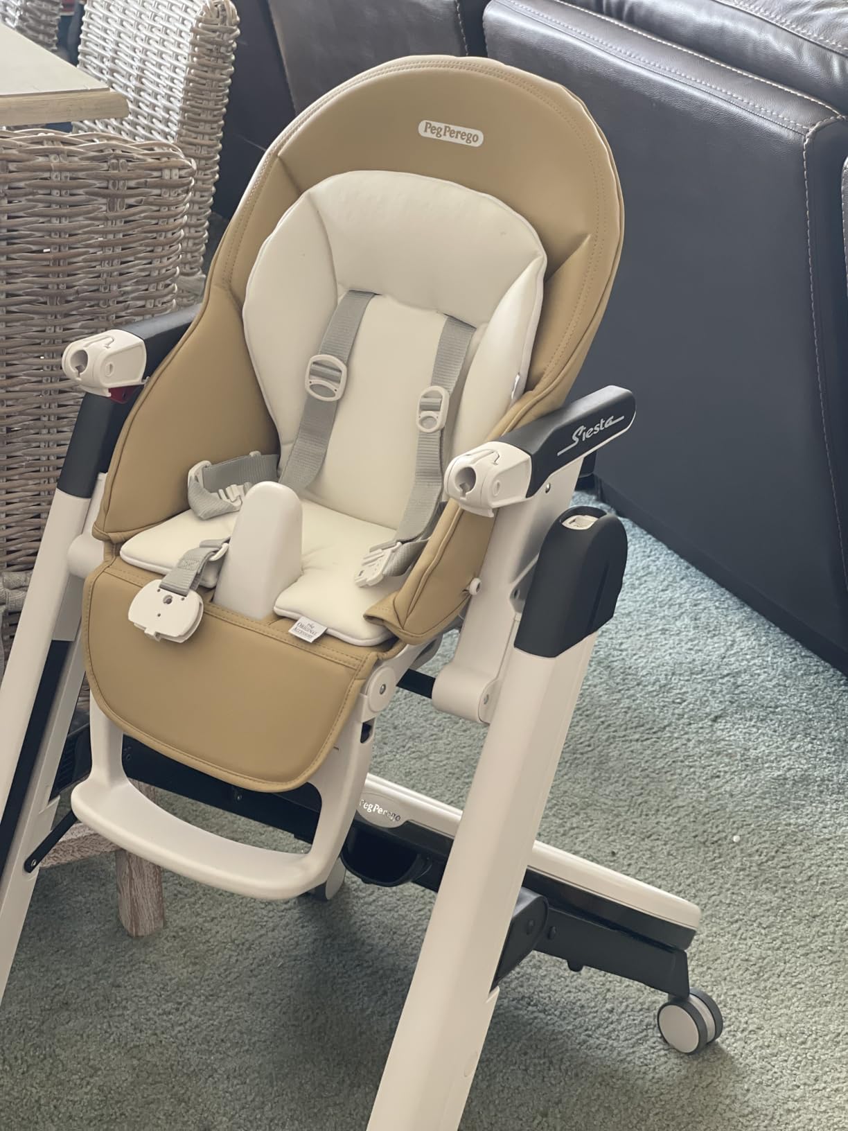 PEG Perego Siesta, Grow With Baby Folding High Chair & Recliner, Ice (Grey) | Height Adjustable, Quick Clean & Easy Push Wheels For Babies & Toddlers, Made in Italy customer photo 2