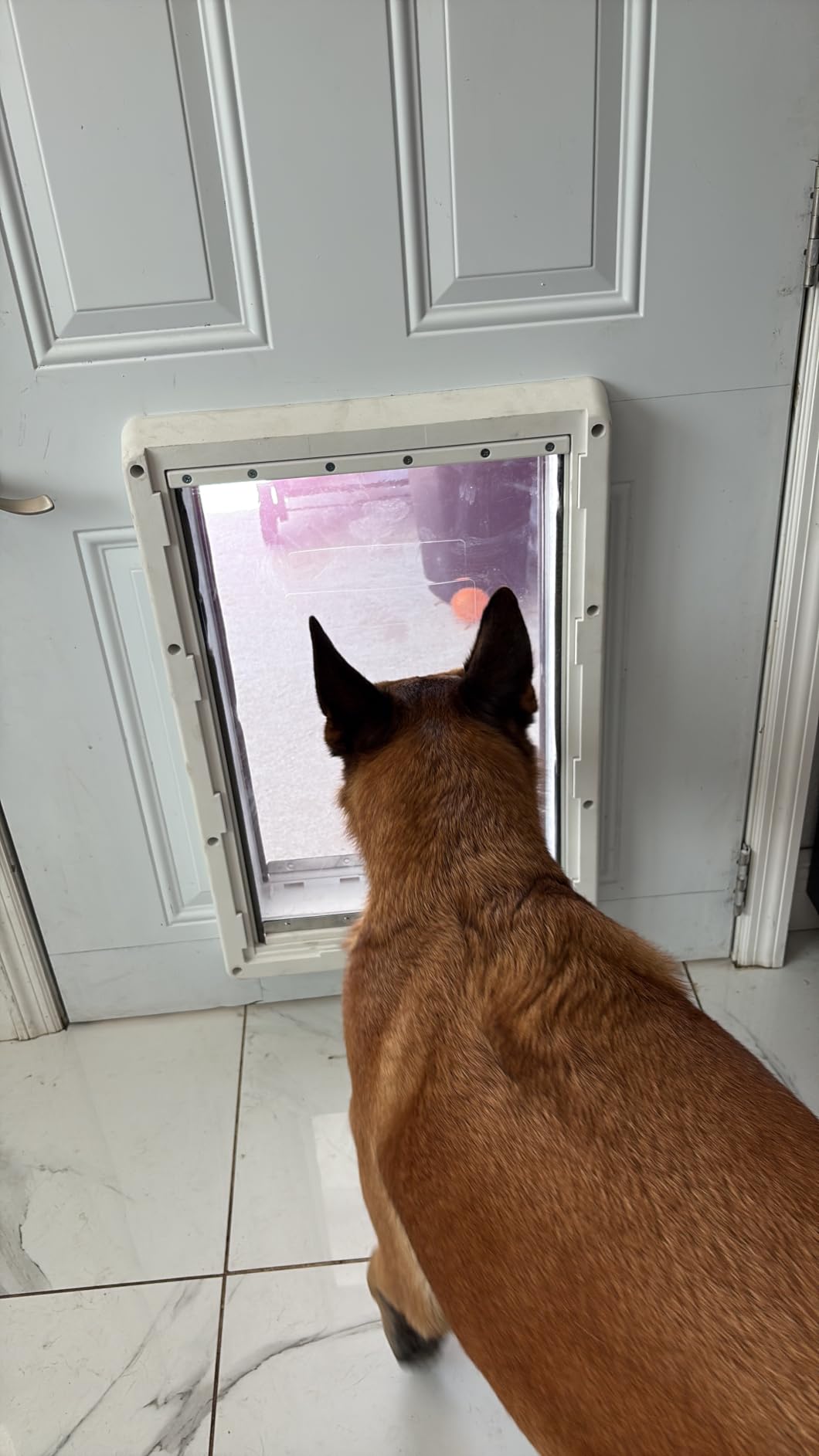 Ideal Pet Products Designer Series Ruff-Weather Pet Door with Telescoping Frame, Extra Large, 9.75
