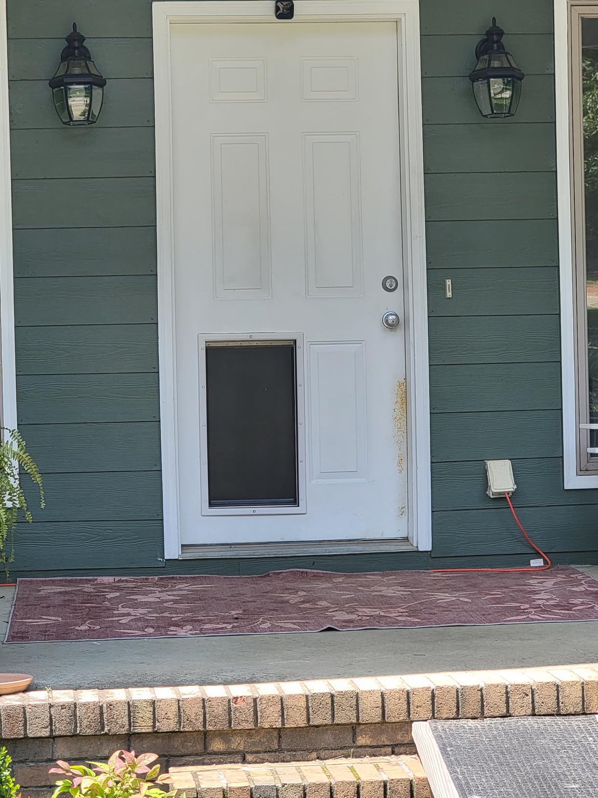 PetSafe NEVER RUST Dog and Cat Door, Large, For Pets Up To 100 lb, Paintable, Easy DIY Installation, Closing Panel Included customer photo 1