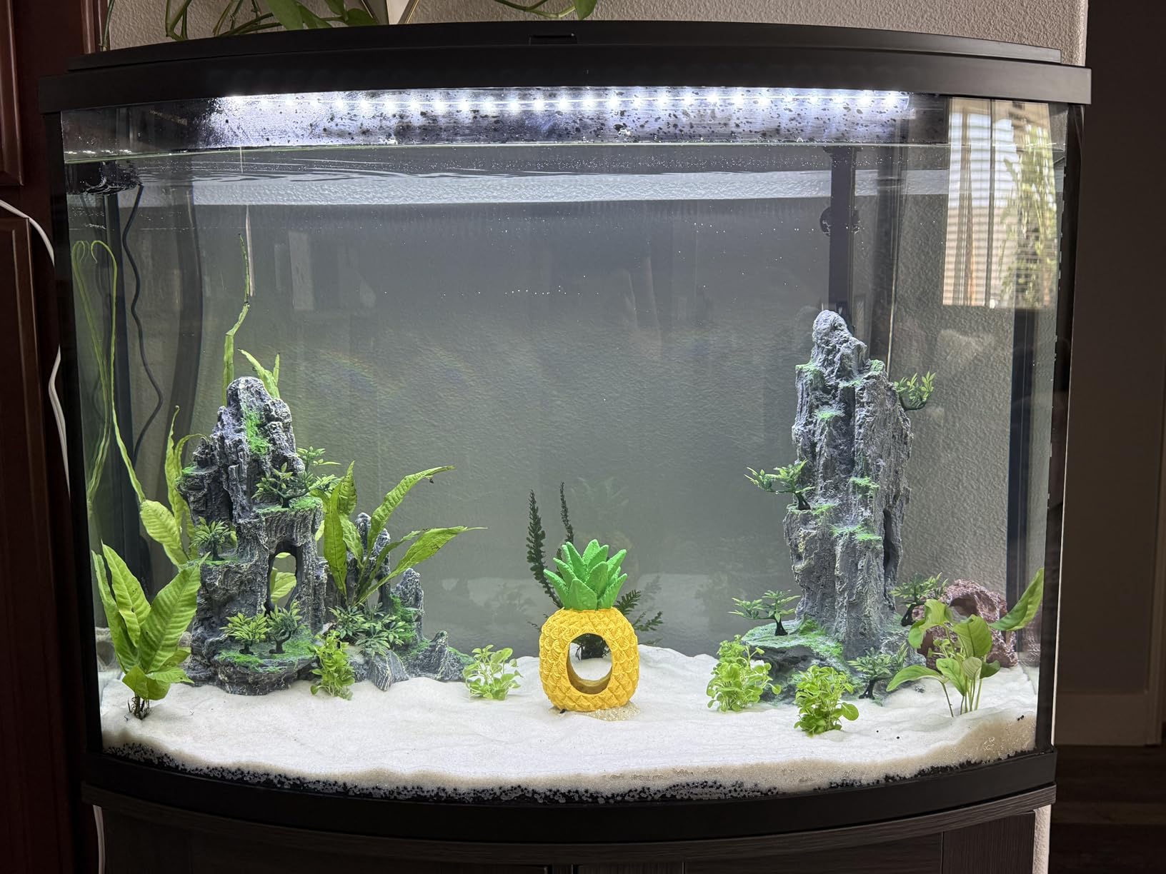 AMOSIJOY Canister Filter, Ultra-Quiet External Aquarium Filter with Free Media for Large Fish Tanks and Aquariums customer photo 1