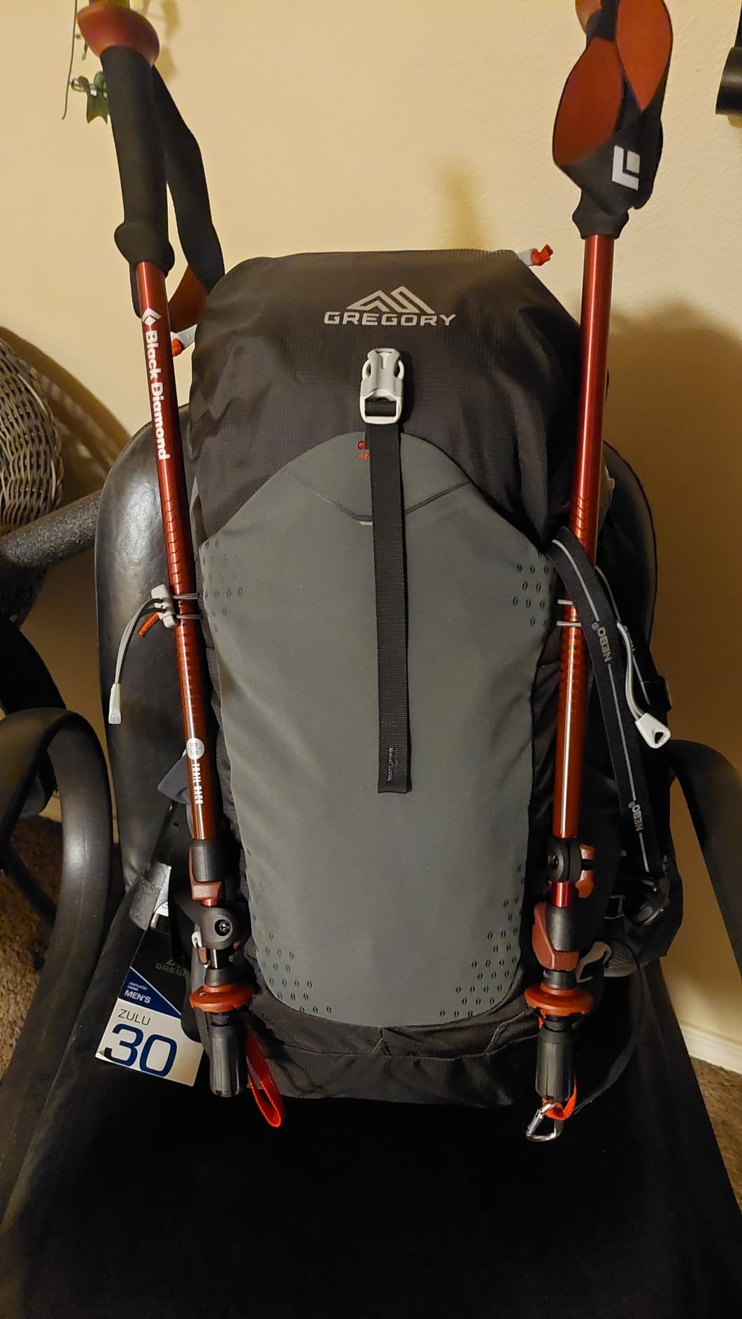 Black Diamond Trail Back Trekking Poles (Pair) - Durable Aluminum - FlickLock Adjustability customer photo 1
