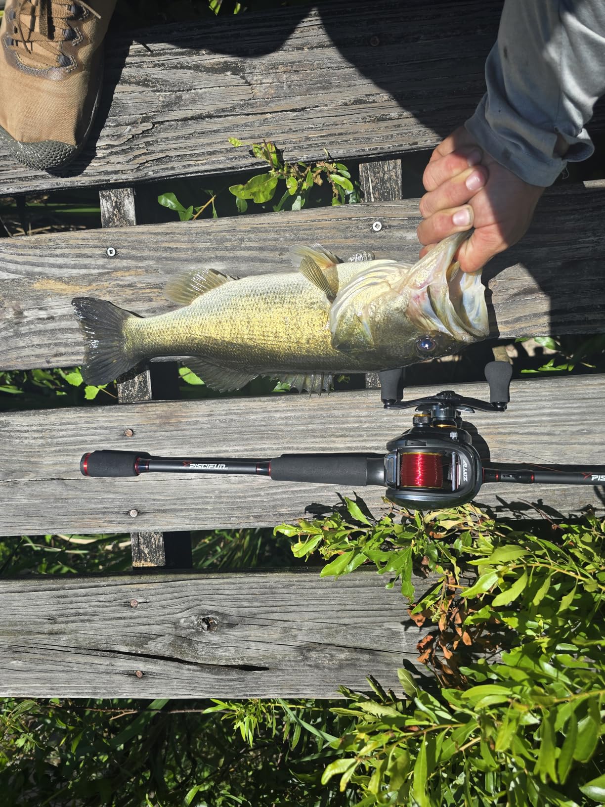 Piscifun Torrent Fishing Rod, IM6 Carbon Baitcaster Rod & Spinning Rod, High Sensitive Lightweight Casting Rod customer photo 1
