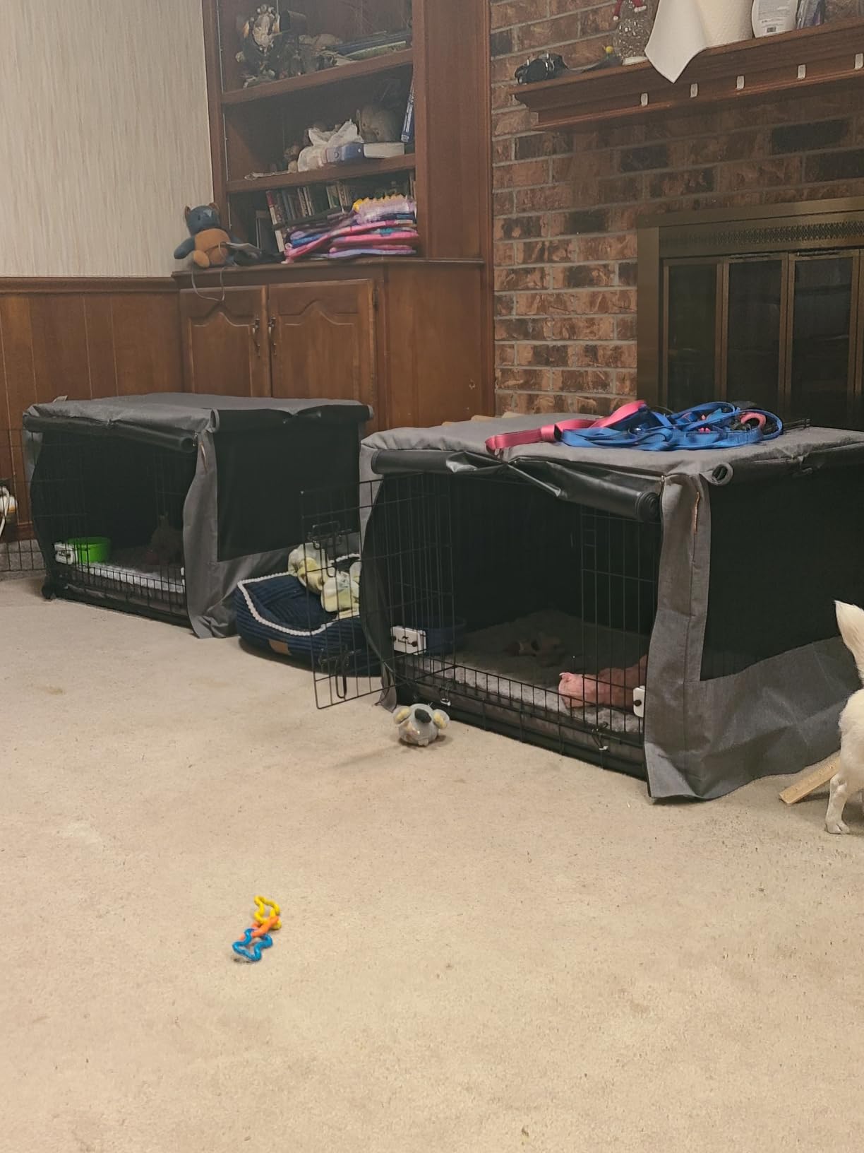 DUMOS 36 Inch Medium Double Door Dog Cage with Plastic Leak-Proof Pan Tray, Handle, Folding Metal Wire Pet Kennel for Indoor, Outdoor, Travel customer photo 1