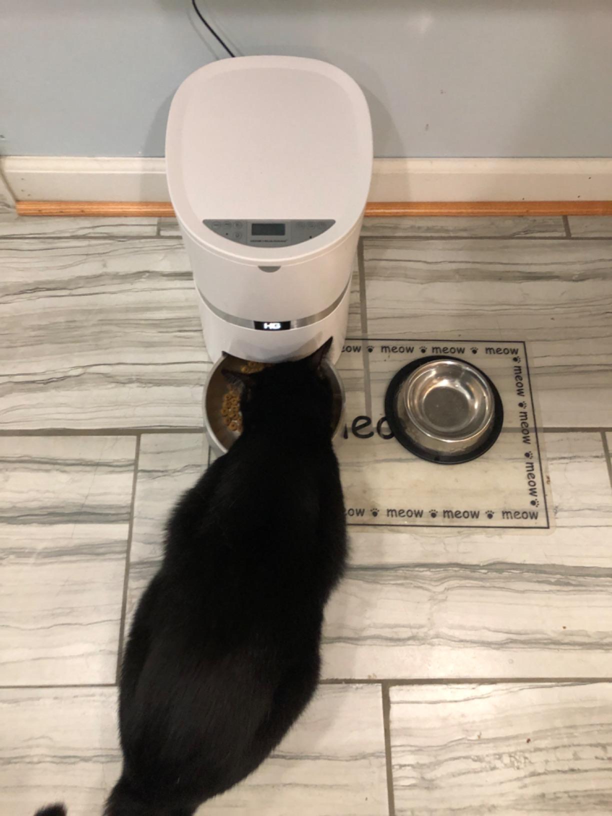 HoneyGuaridan Automatic Cat Feeder for 2 Cats, 2.4/5G WiFi Smart Feed Pet Feeder with Stainless Steel Bowl, APP Control Dispenser, Dual Power Supply, Desiccant Bag, 10s Meal Call Black customer photo 2