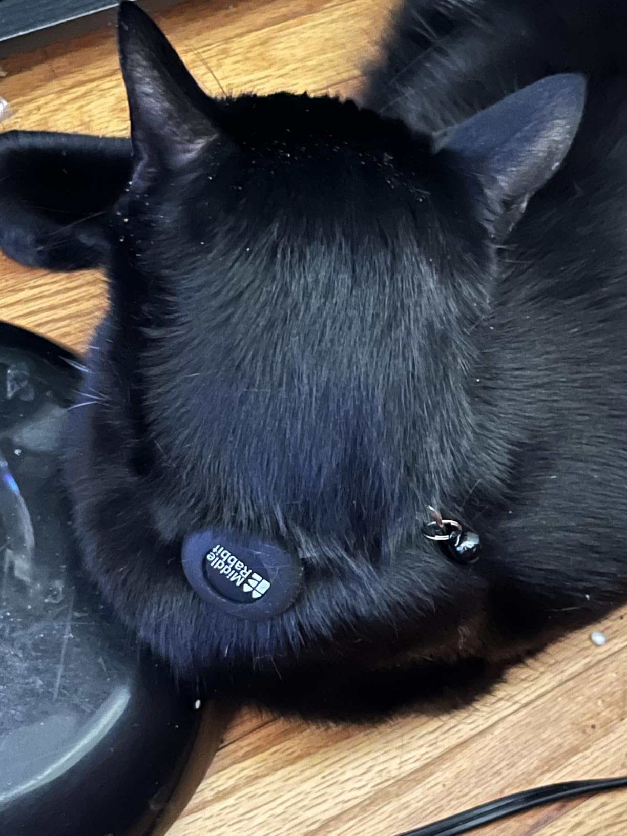 GPS Cat Tracker Collar for iPhone, Works with Apple Find My, No Monthly Fee, Lightweight Pet Tracking Tag with Collar Holder for Cats customer photo 1