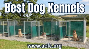 best dog kennels