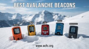 best avalanche beacons