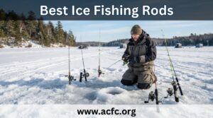 best ice fishing rods