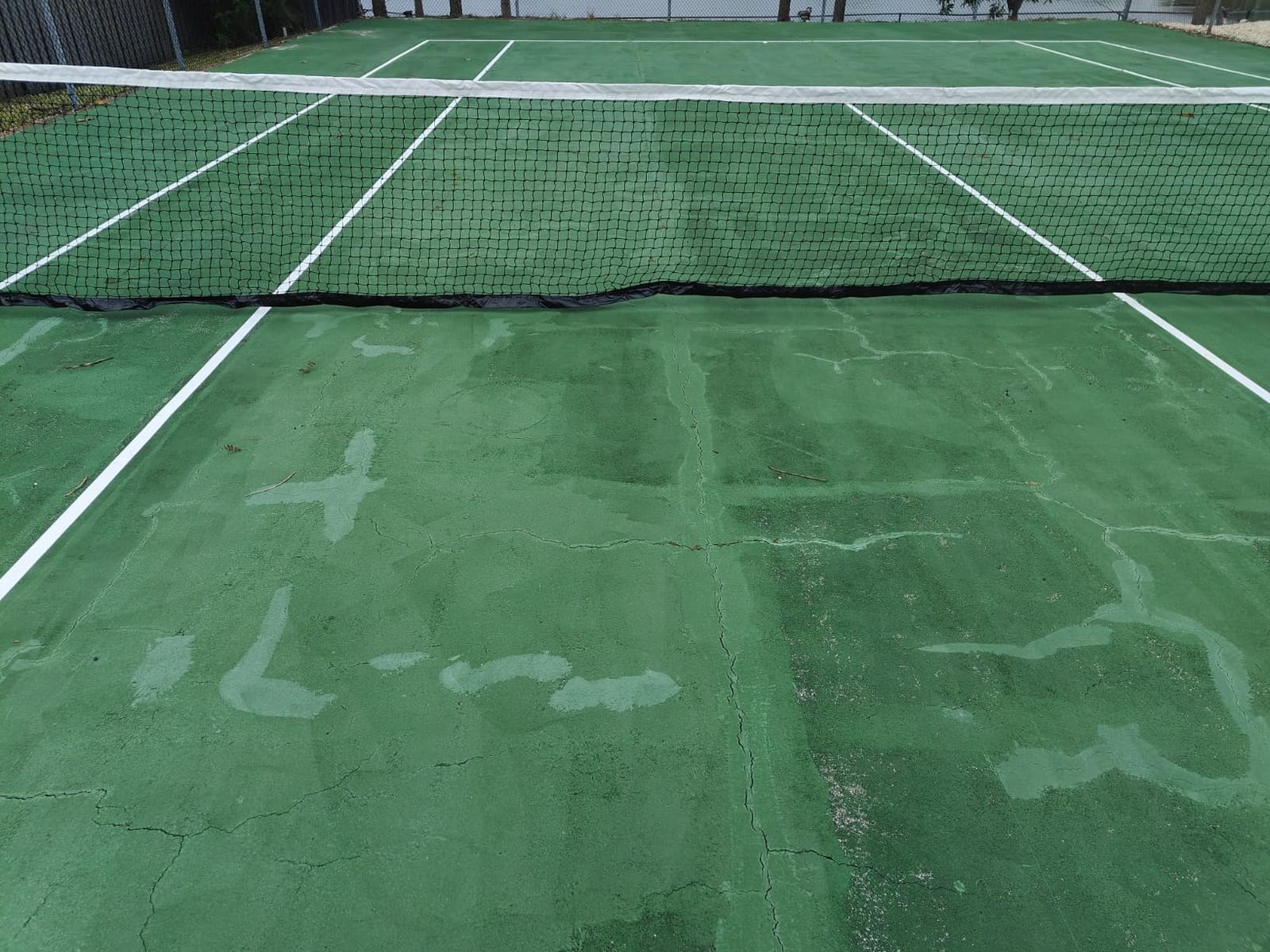 MacGregor Varsity 300 Tennis Net, 42-feet,Green customer photo 1