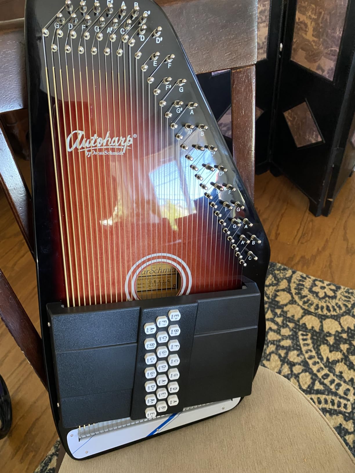 Autoharp by Oscar Schmidt 21 Chord Maple Body Autoharp | Rock maple pin block customer photo 1