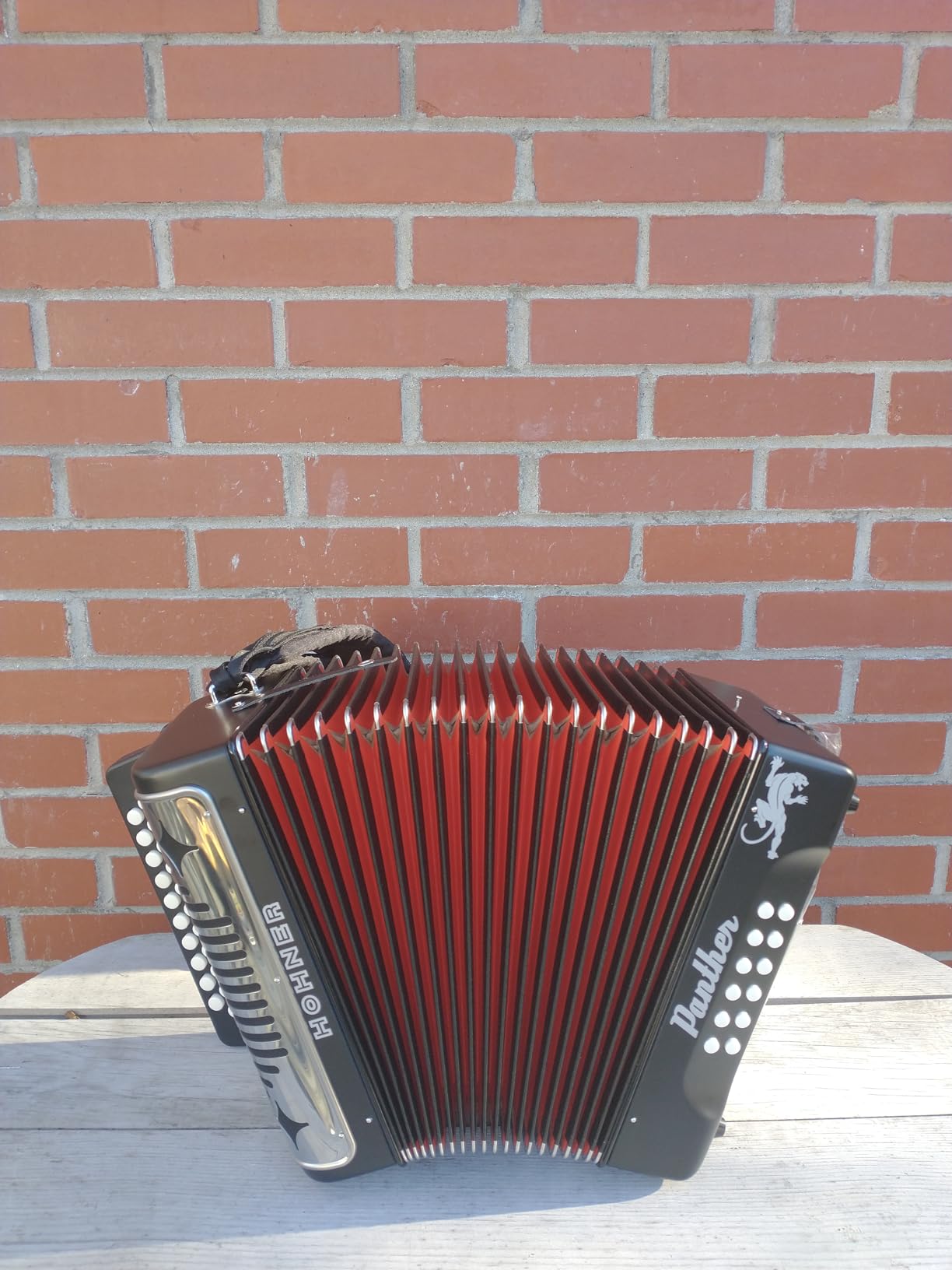 Hohner Panther G/C/F 3-Row Diatonic Accordion - Black customer photo 1
