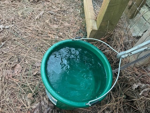 Farm Innovators HB-60 9 Quart 2 Gallon 60 Watt Plastic Heated Bucket with Built in Thermostat, Green customer photo 1