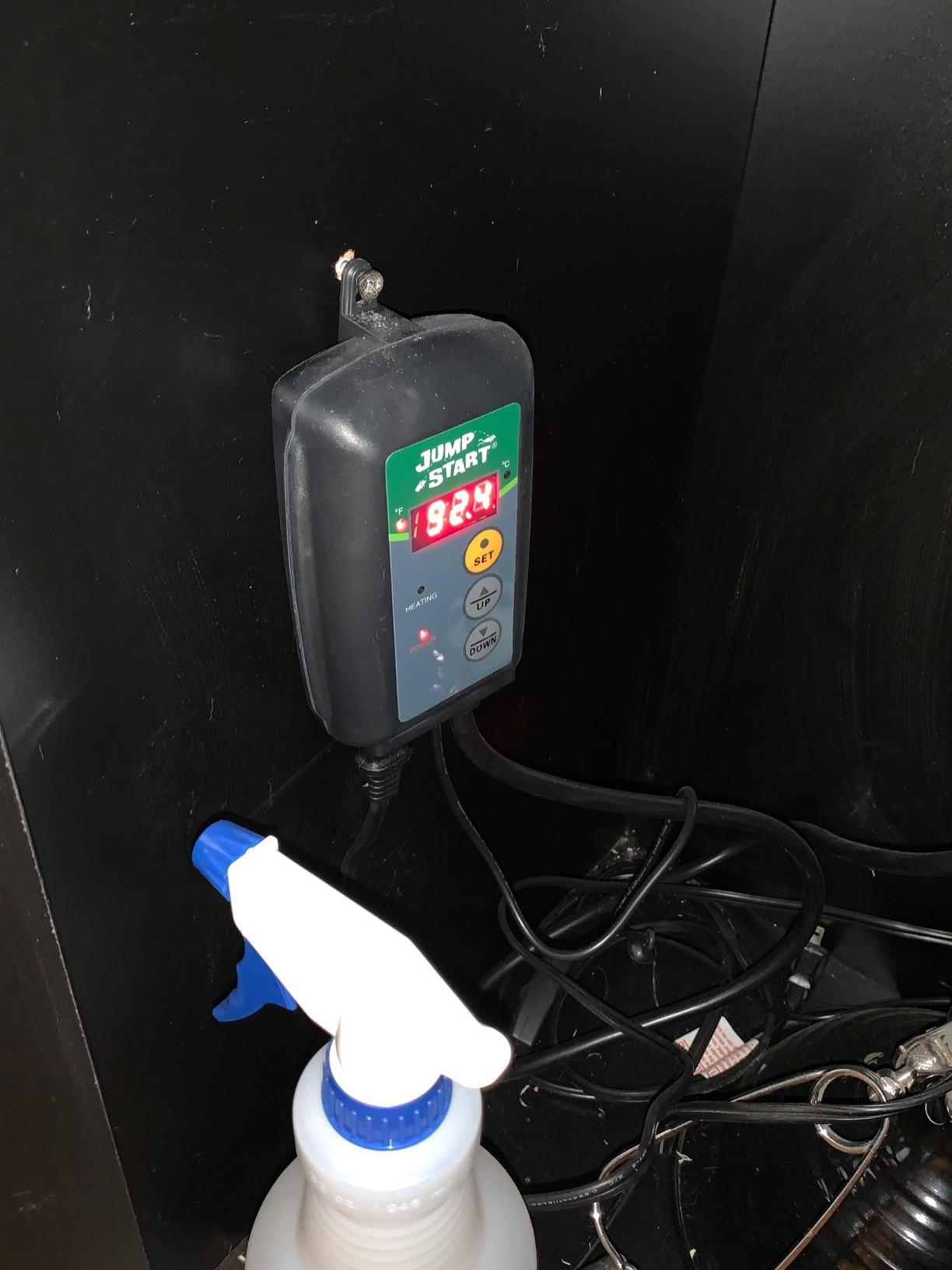 JumpStart Digital Thermostat Controller for Heat Mats, 6 Ft Cord, MTPRTC | Water-resistant probe and switchable Celsius or Fahrenheit readout hold seedling heat mats at a precise set temperature customer photo 1