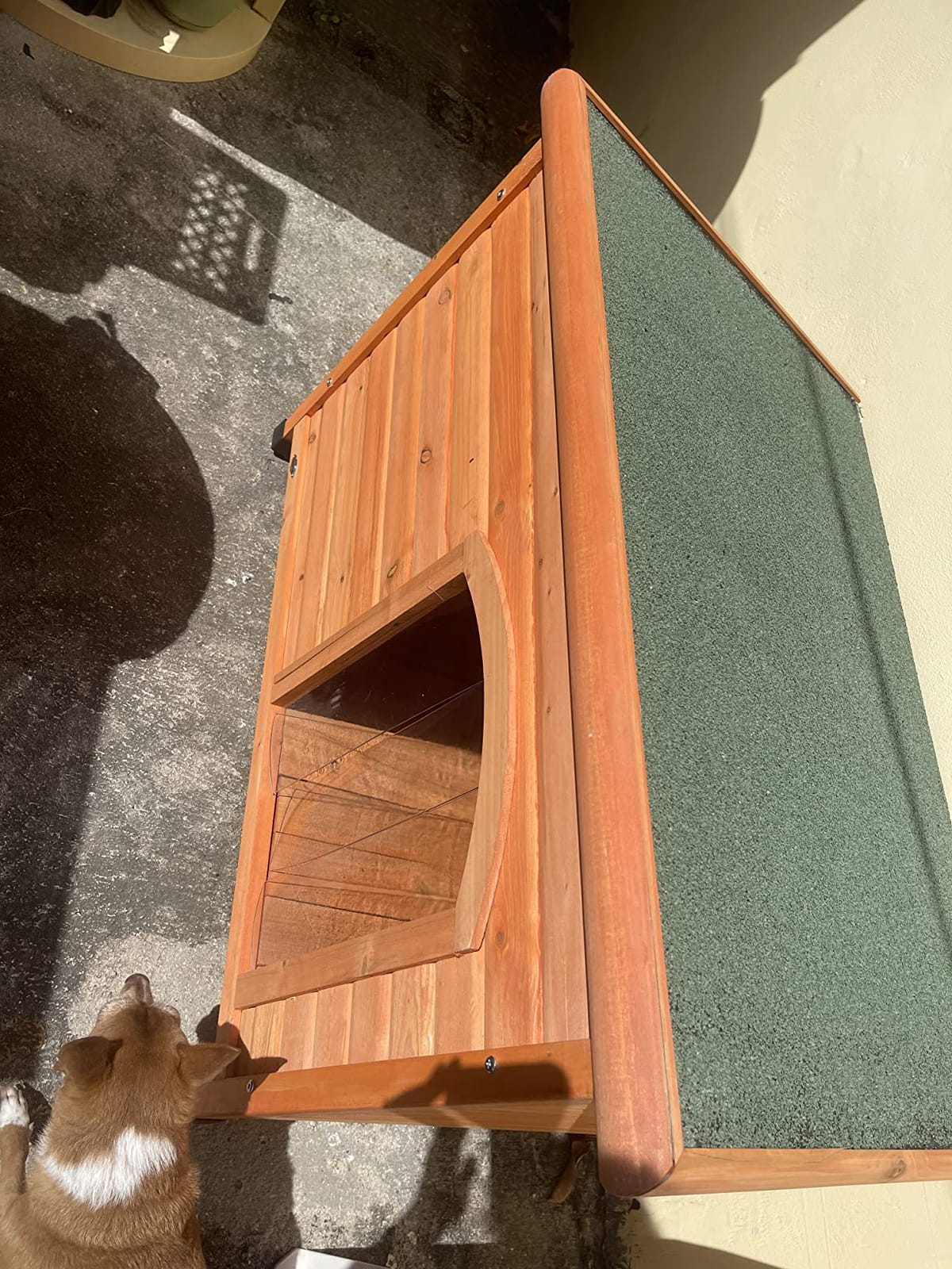 TRIXIE Pet Products Dog Club House, Large, Glazed Pine, 40.75x26.75x28.25 Inch (Pack of 1), 39552 customer photo 2