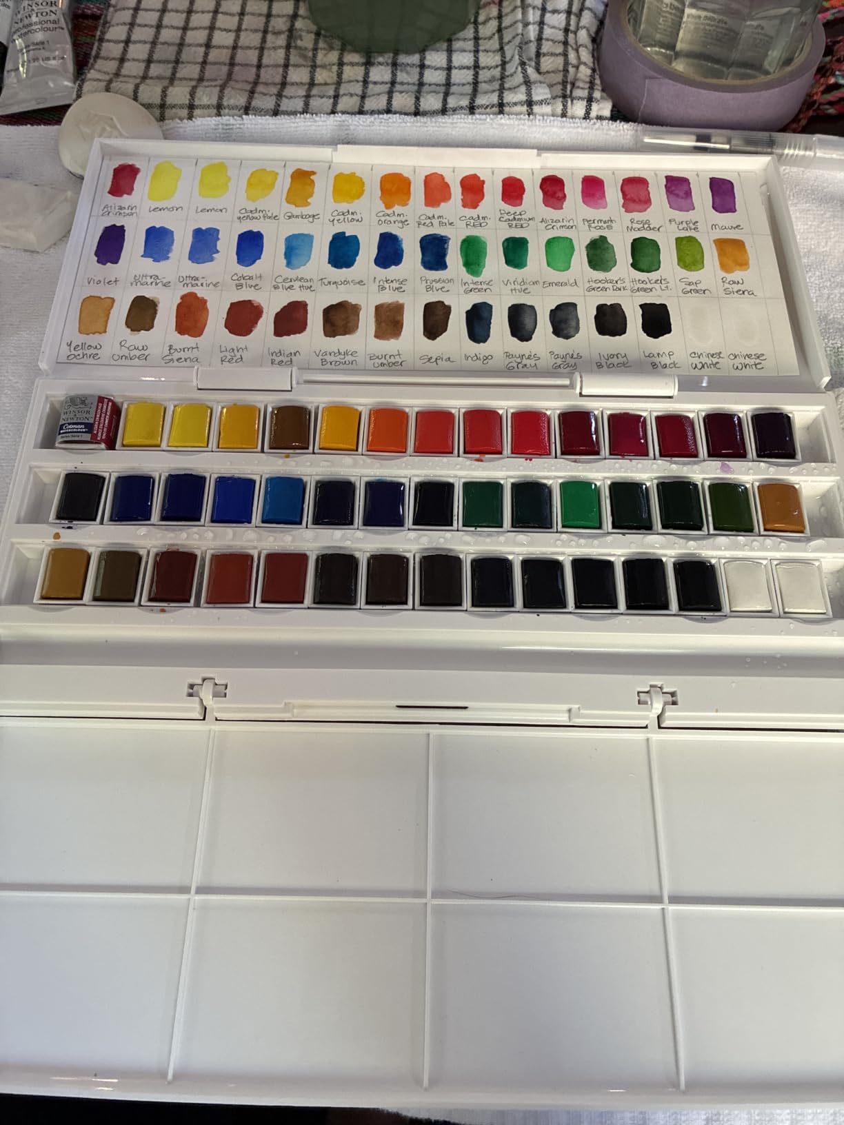 Winsor & Newton Cotman Watercolor Paint Set, 45 Half Pan Studio Set | Introductory Watercolor made with Fine Art Pigments, Perfect for Beginners customer photo 1