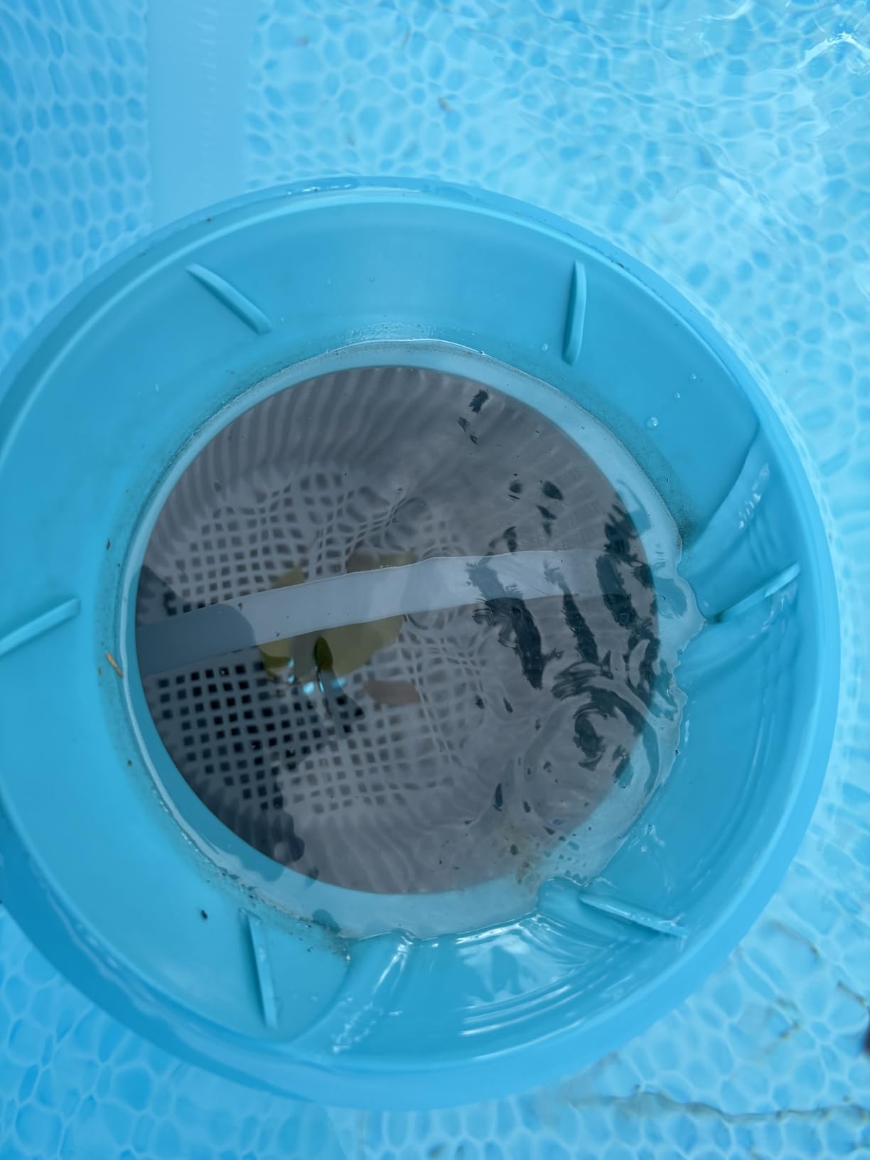 Intex Deluxe 800 GPH+ Wall-Mounted Swimming Pool Surface Automatic Skimmer customer photo 1