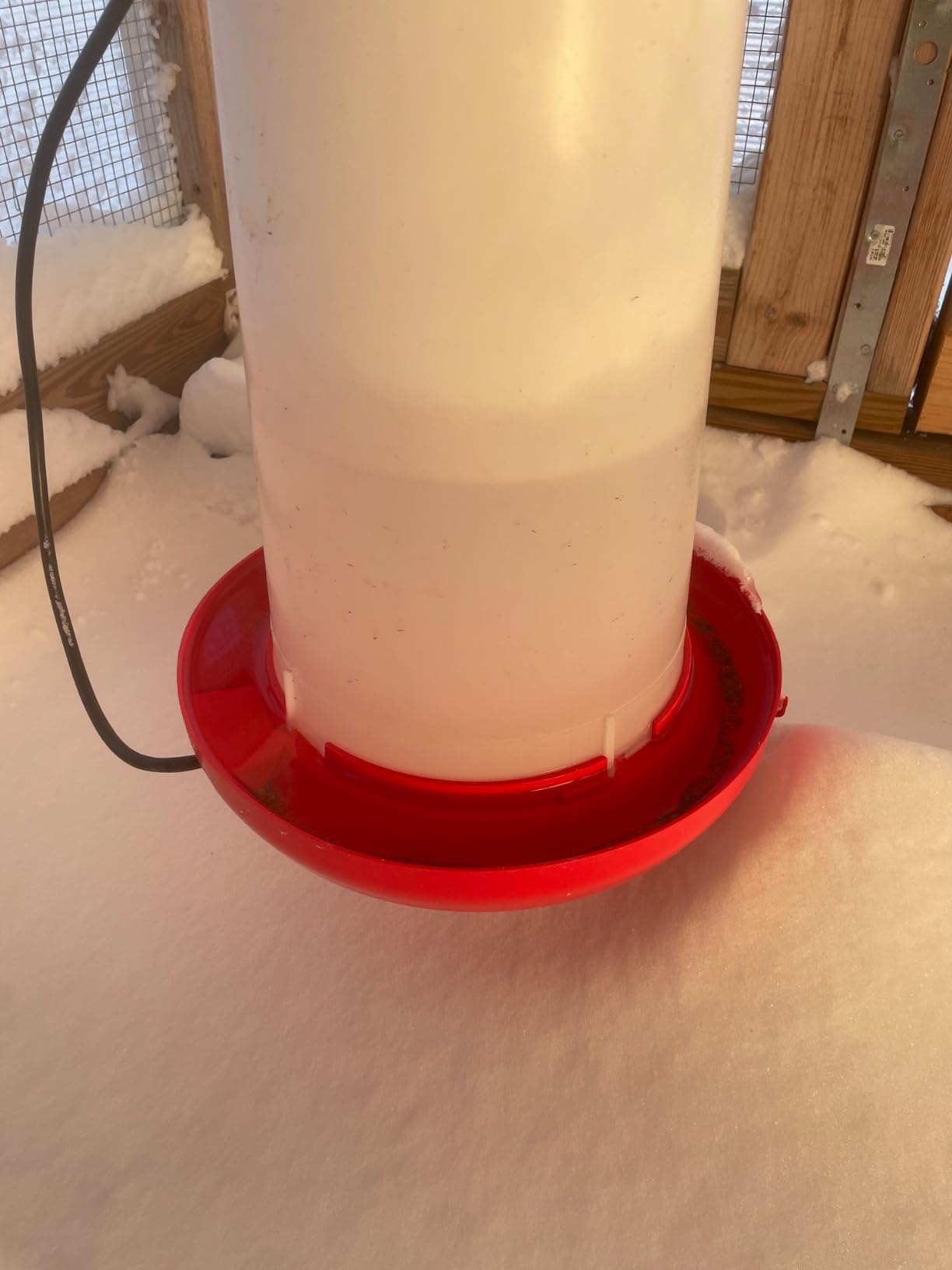 Farm Innovators Thermostatically Controlled Heated 3 Gallon Plastic Outdoor Year Round Hanging Water Fountain for Poultry Watering, Red customer photo 2