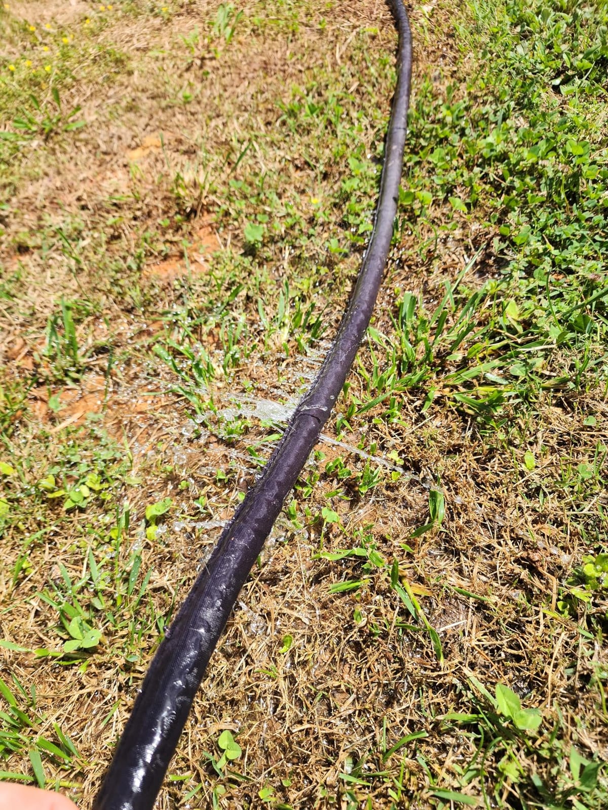 Gilmour 75' Black Flat Weeper Soaker Hose for Garden Beds, Drip Irrigation Outdoor Hose, Flexible Garden Hose for Vegetable Gardens, Flower Beds, Lawns, and Orchards customer photo 1