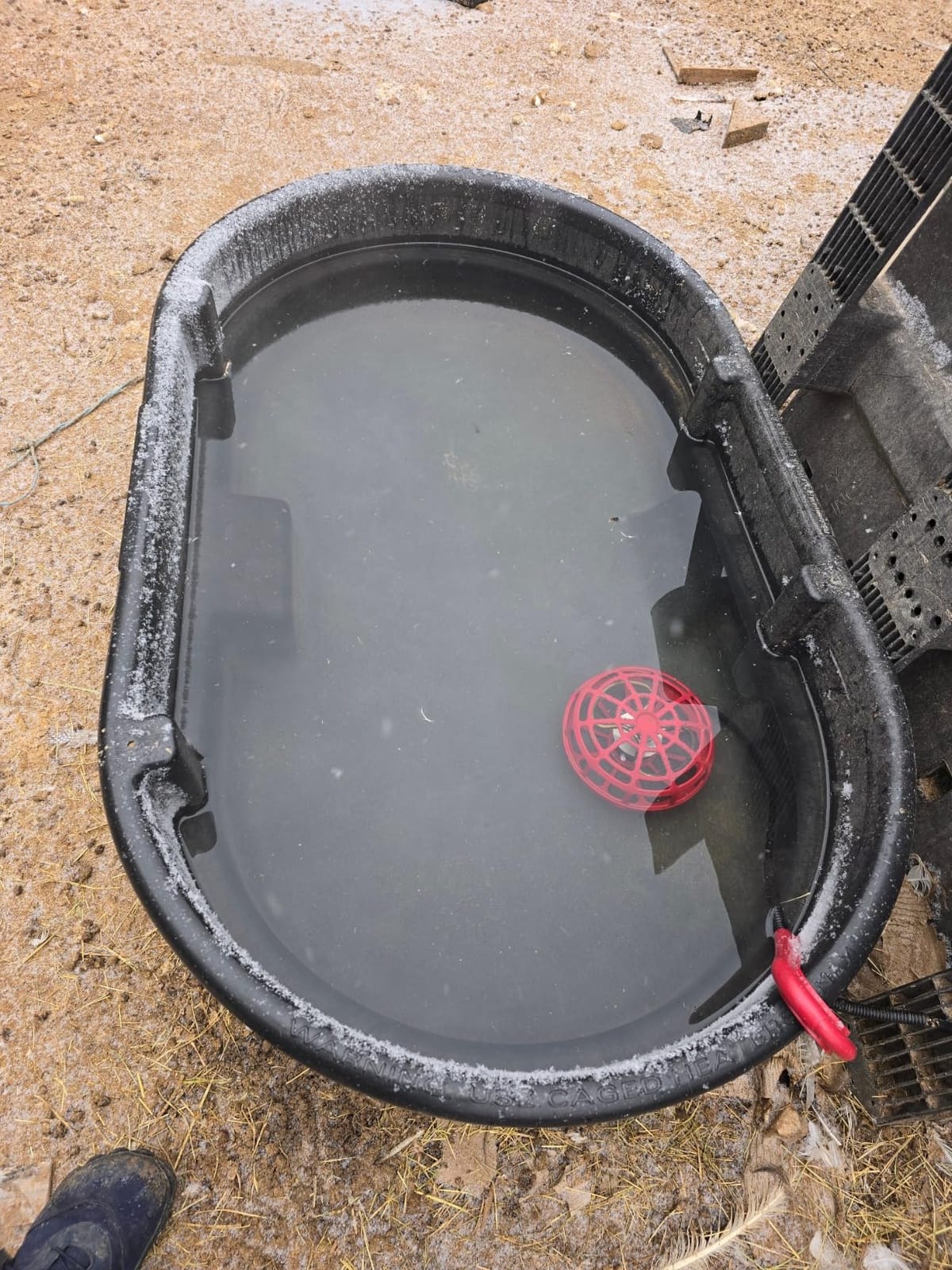 K&H Pet Products Stock Tank & Pond Heater, Ultimate Stock Tank Deicer w/ Cord Clip, Water Trough Heater for Horses, Cattle and Livestock, Full Cage, Floating, Submersible, Safety Listed - Red 500W customer photo 1