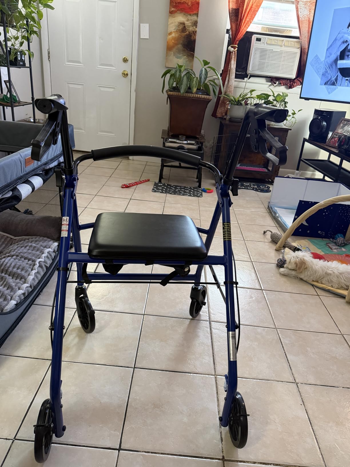 Drive Medical Aluminum Rollator Walker - Fold Up - Padded Seat - 6 Inch Wheels - Lightweight Portable Design - Indoor Outdoor Mobility Aid - Blue customer photo 2