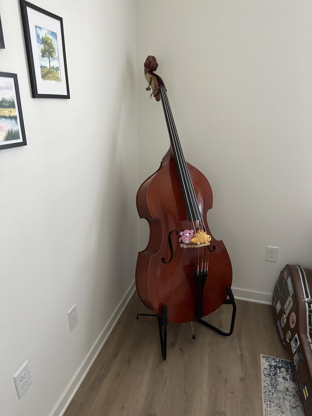 Hercules Stands DS590B Double Bass Stand customer photo 1