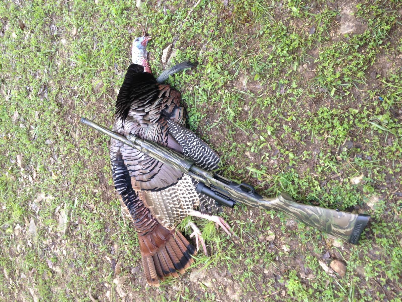 Truglo Gobble Stopper 30MM Turkey Sight for Hunting, 3MOA customer photo 1
