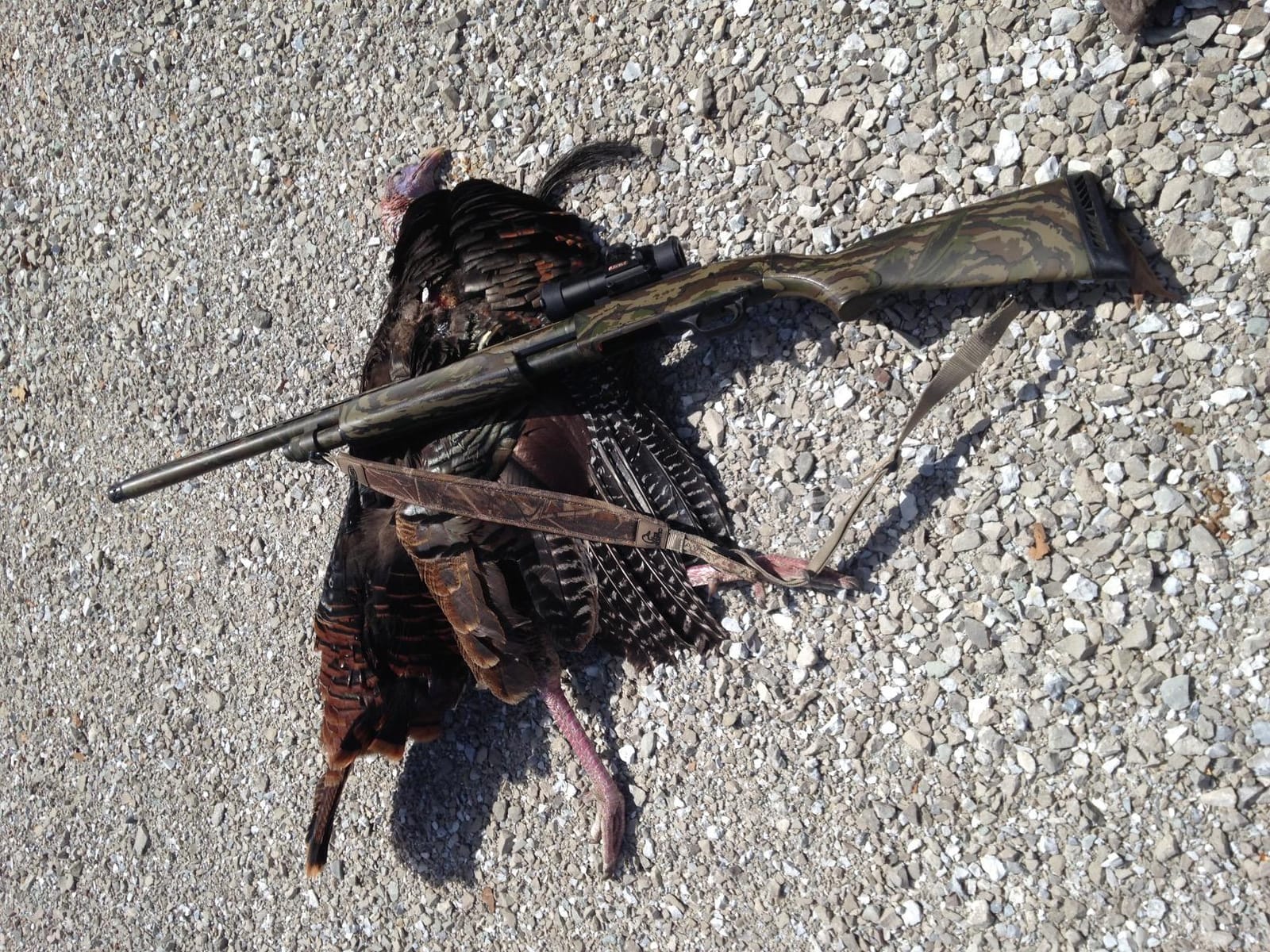 Truglo Gobble Stopper 30MM Turkey Sight for Hunting, 3MOA customer photo 2
