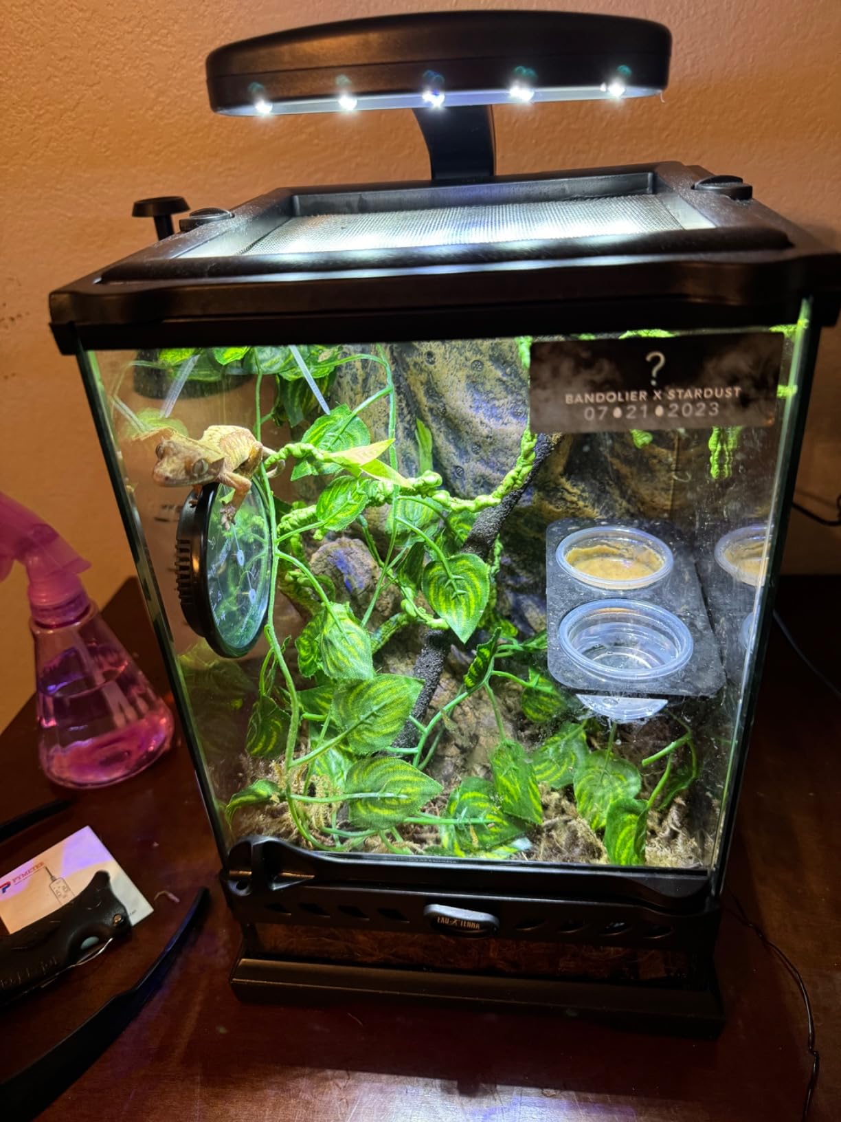 Exo Terra Glass Nano Terrarium Kit, 8 x 8 x 12 Inches | For Reptiles and Amphibians customer photo 2