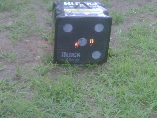 BLOCK Classic Layered Foam Archery Target, 2-Sided Shooting, Unique Open Layer Design Stops Field Points and Broadheads with Friction Not Force, Easy Arrow Removal, Top Carry Handle customer photo 2