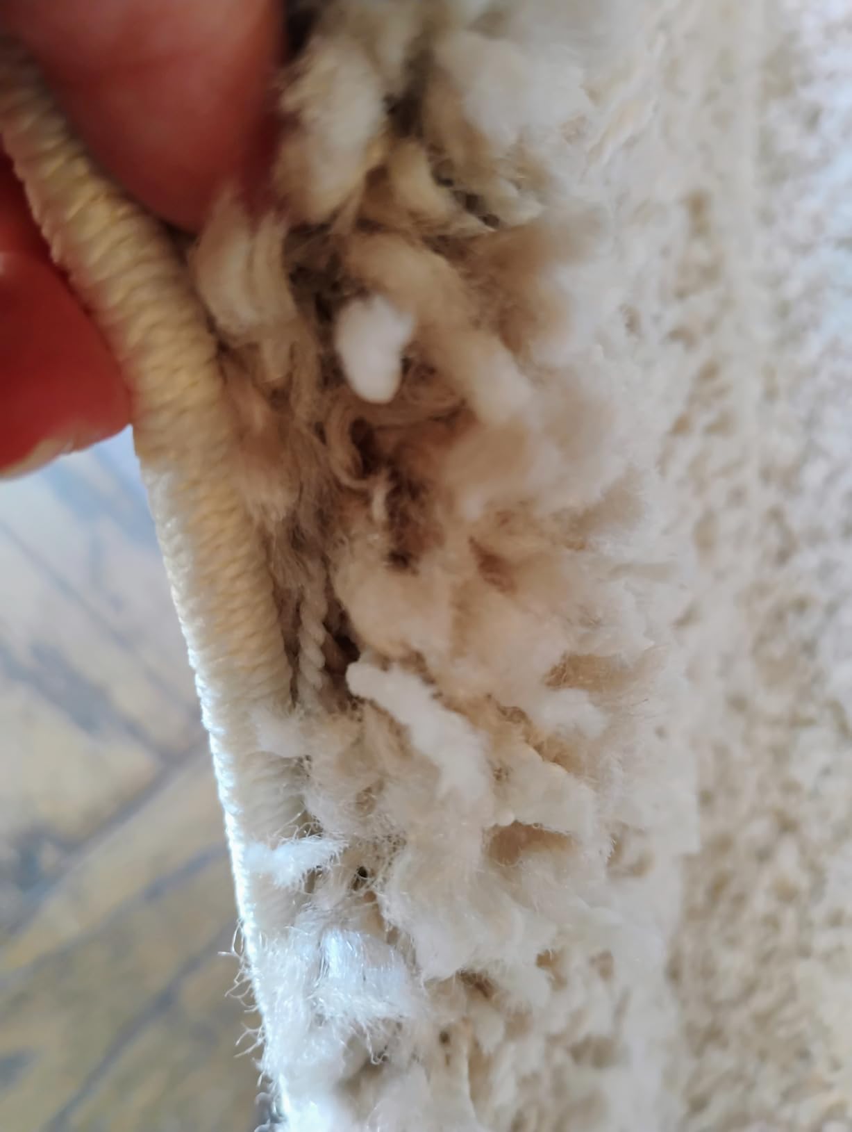 SAFAVIEH California Shag Collection Area Rug - 5'3' x 7'6', Beige, Non-Shedding & Easy to Clean, Ultra Plush Thick Pile, Ideal for Living Room, Bedroom, Dining Space (SG151-1313) customer photo 1