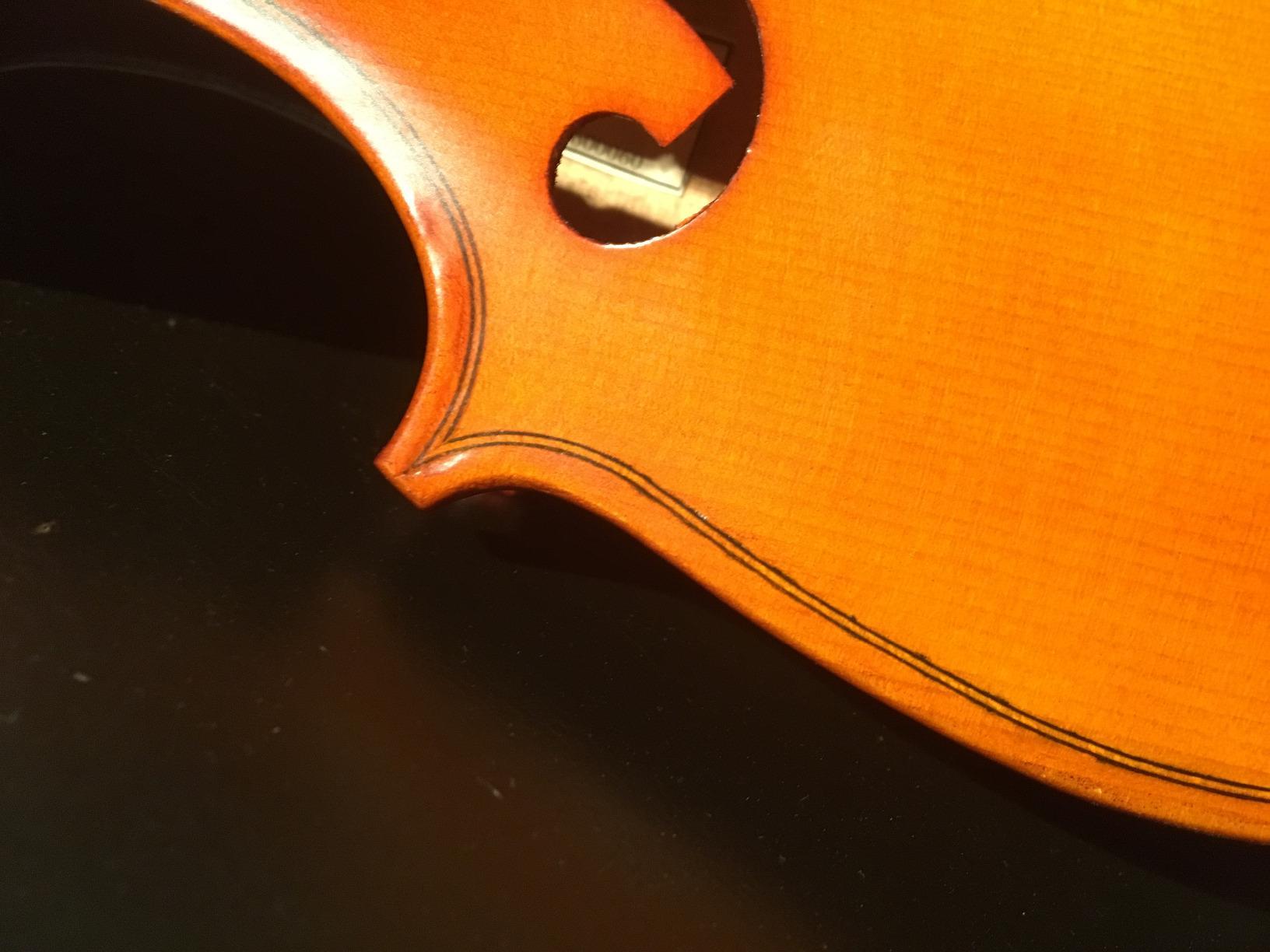 Cecilio Solid Wood Viola 15.5 Inch Viola Full Size, Professional Handcrafted Acoustic Viola with Ebony Fittings, Antique Satin Finish customer photo 1