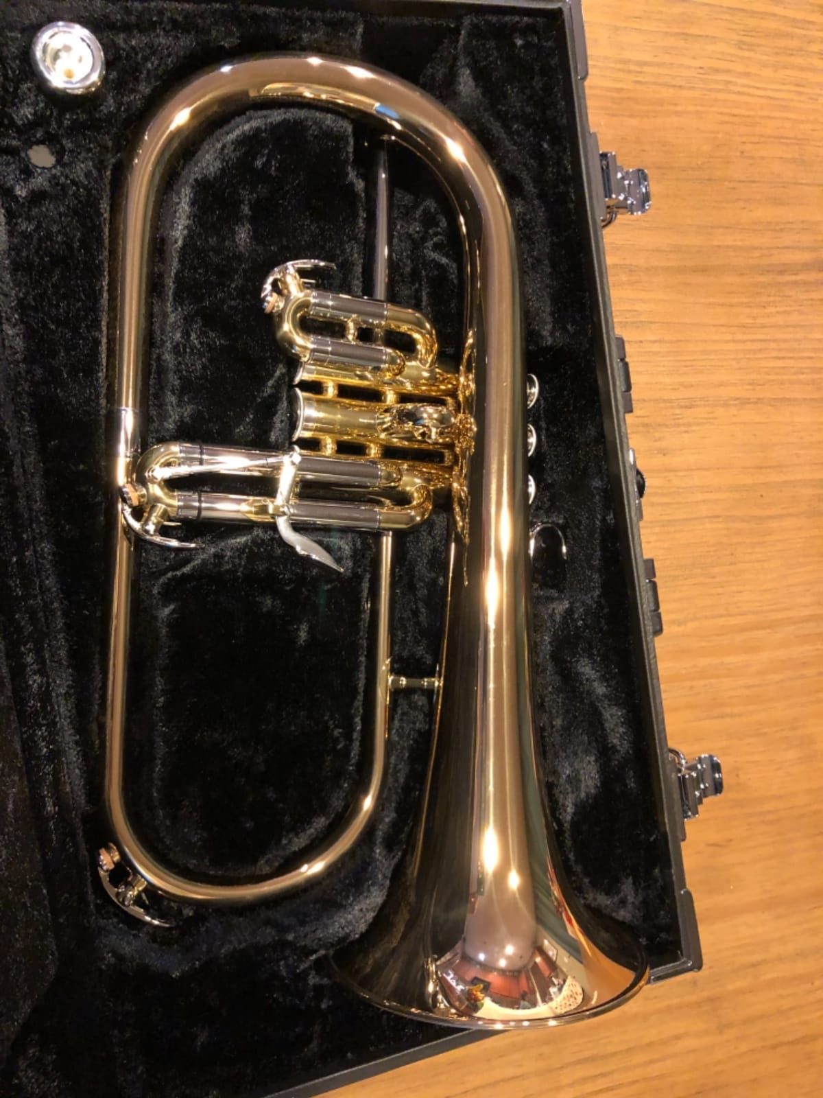Yamaha YFH-631G Professional Bb Flugelhorn - Clear Lacquer with Gold Brass Bell customer photo 2